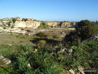 traro-30-12-2021 10-30-40